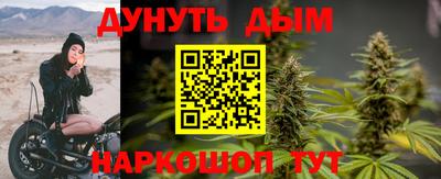 спайс Гай