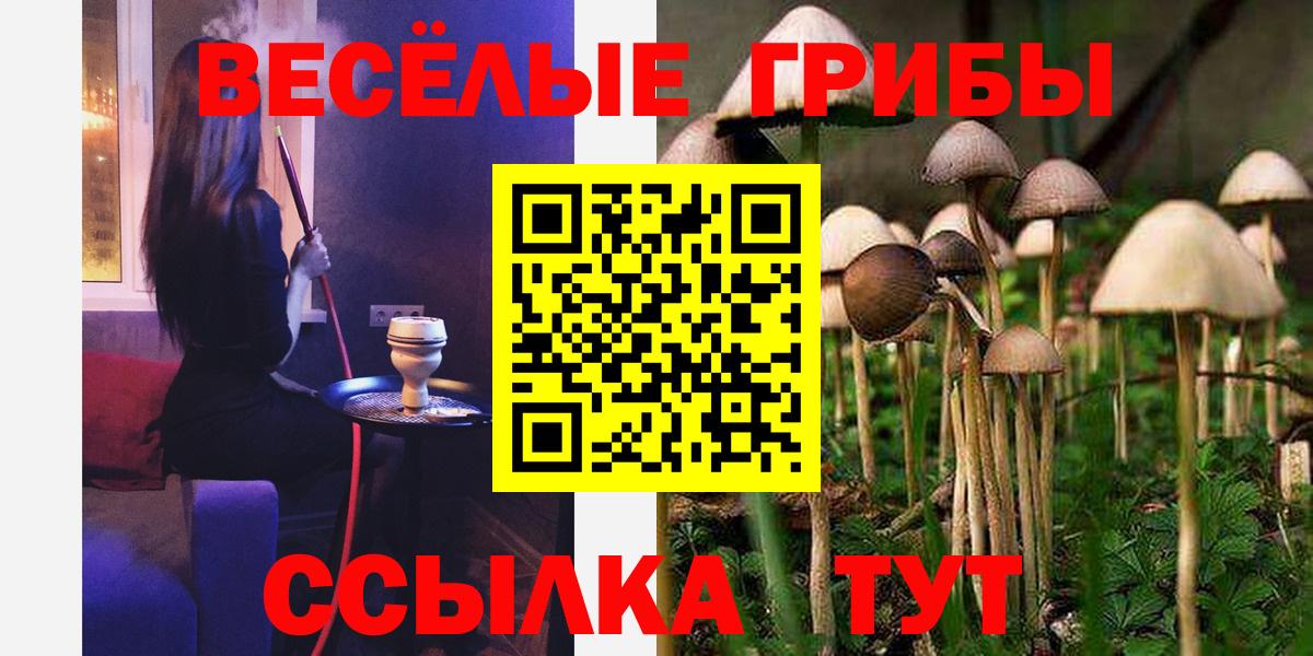 Дивногорск  Галлюциногенные грибы ЛСД  Вход с VPN 