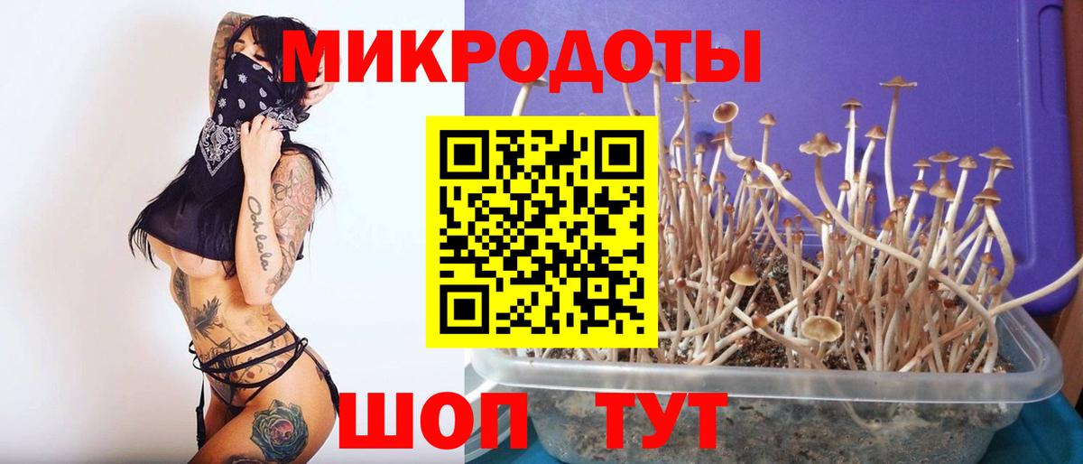 Псилоцибиновые грибы прущие грибы Дивногорск